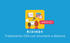 Webinar Ridinet a Distanza